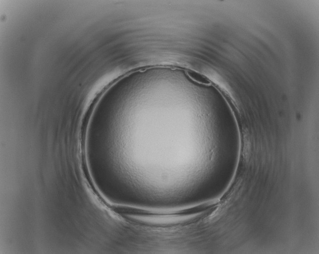 X0000062671088200512230940