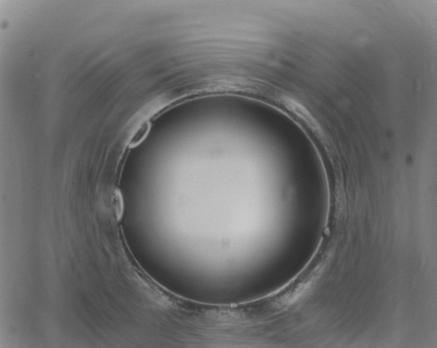 X0000062671089200512230940