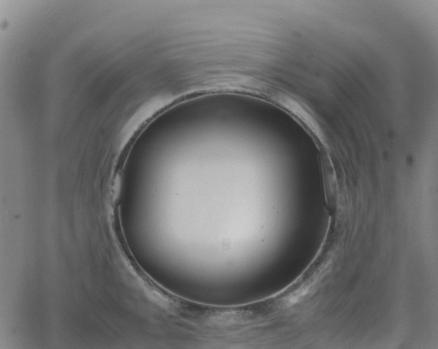 X0000062671093200512230940