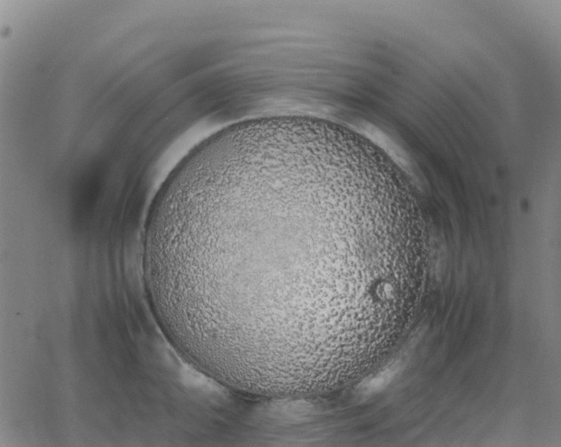 X0000062671094200512230940