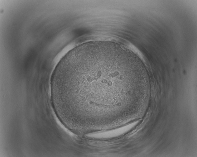 X0000062671095200512230940