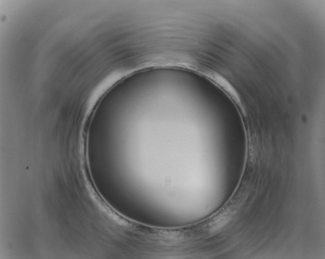 X0000062671096200512230940