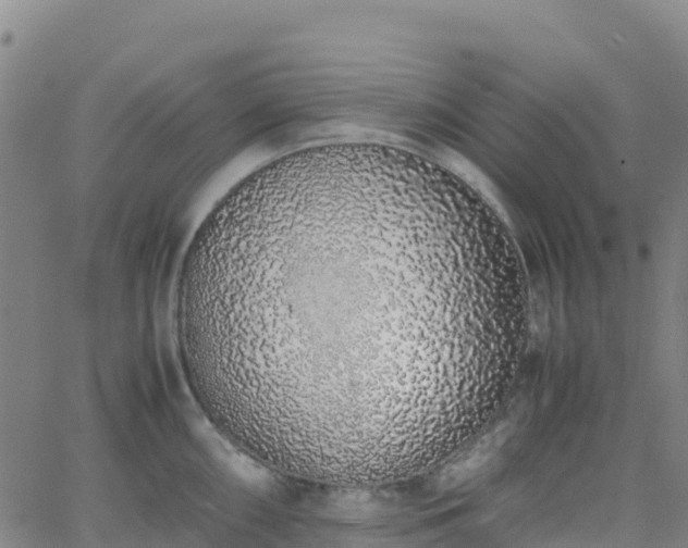 X0000062671098200512230940