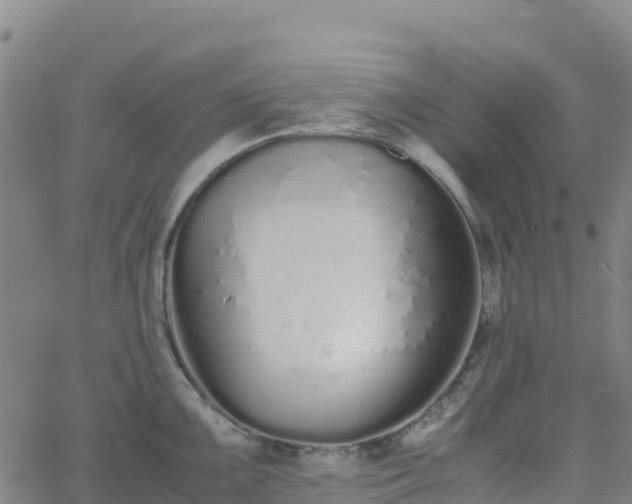 X0000062671099200512230940