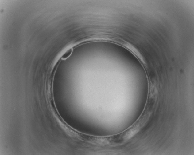 X0000062671101200512230940