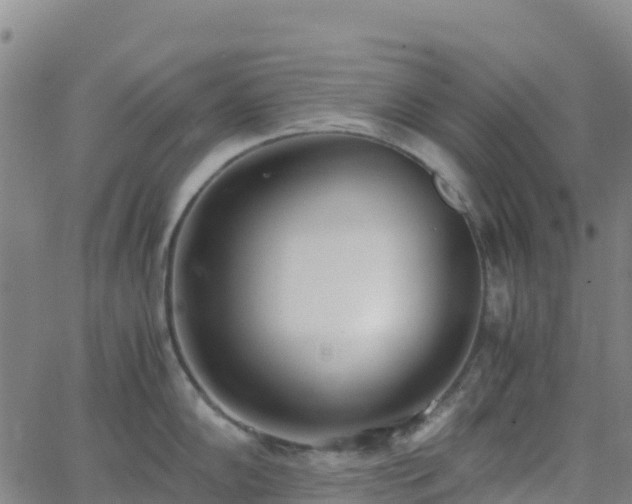 X0000062671102200512230940