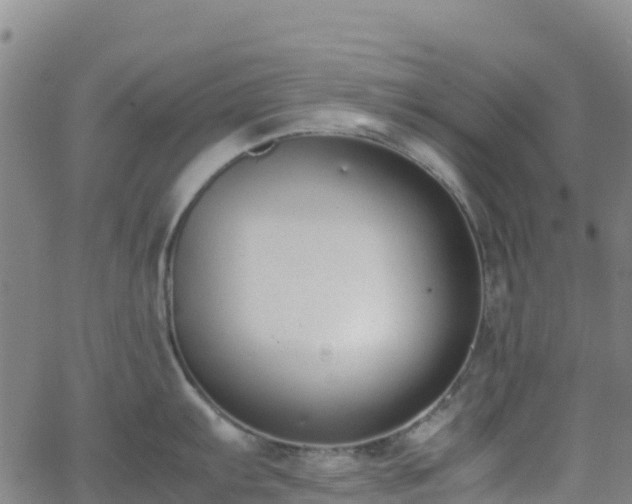 X0000062671103200512230940