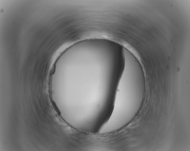 X0000062671104200512230940