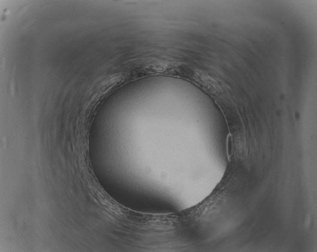 X0000062671105200512230939