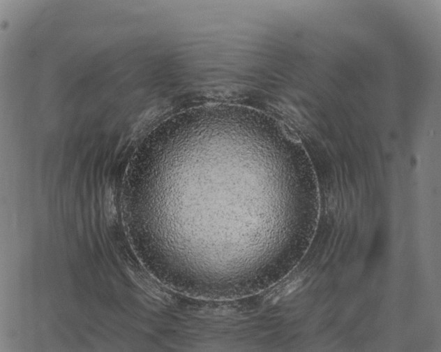 X0000062671106200512230939