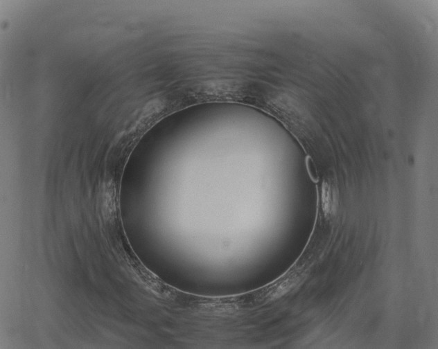 X0000062671107200512230939