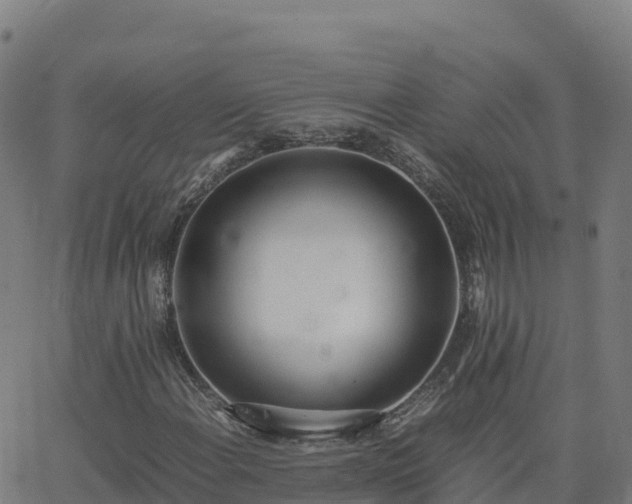 X0000062671108200512230939