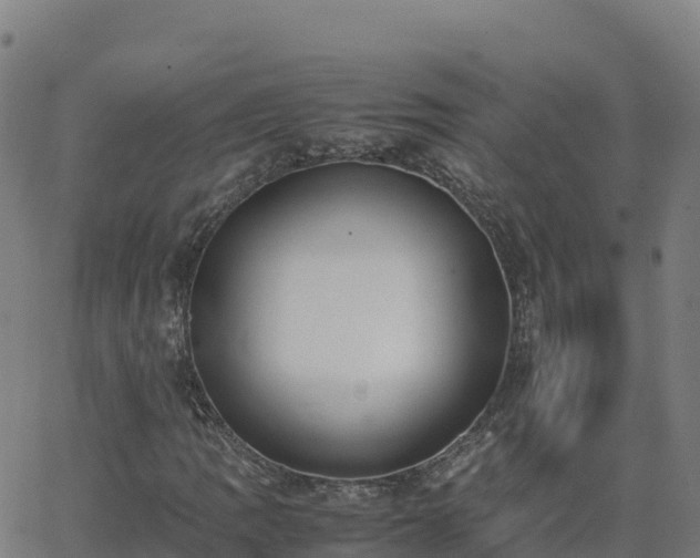 X0000062671109200512230939