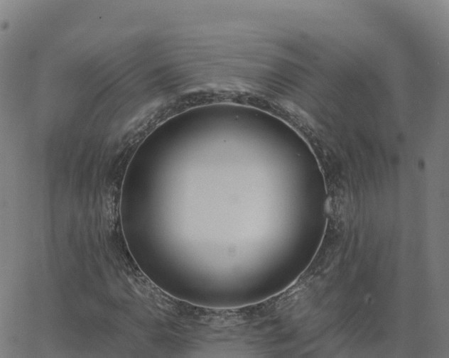 X0000062671110200512230939