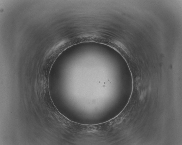 X0000062671111200512230939