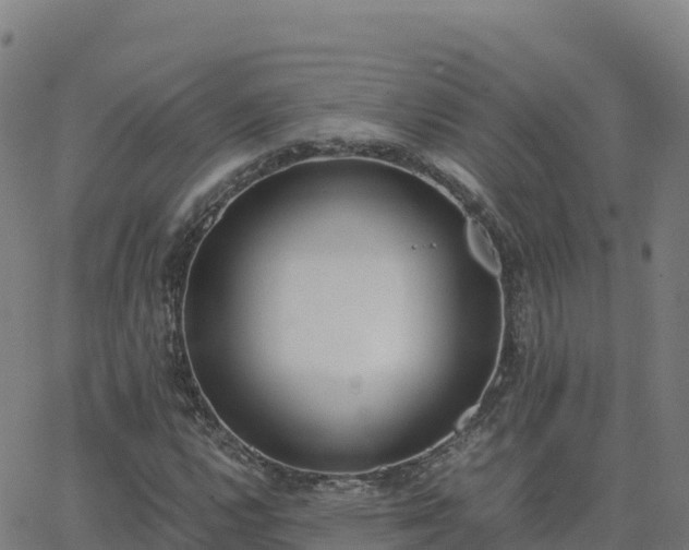 X0000062671112200512230939