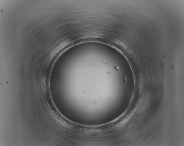 X0000062671113200512230939