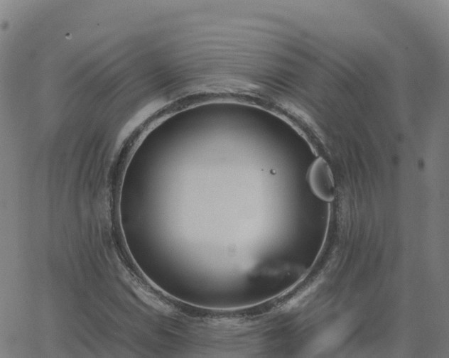 X0000062671114200512230939