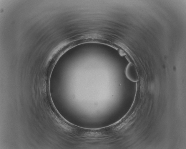 X0000062671115200512230939