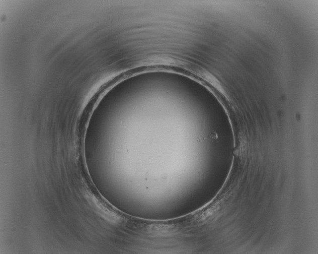 X0000062671116200512230940