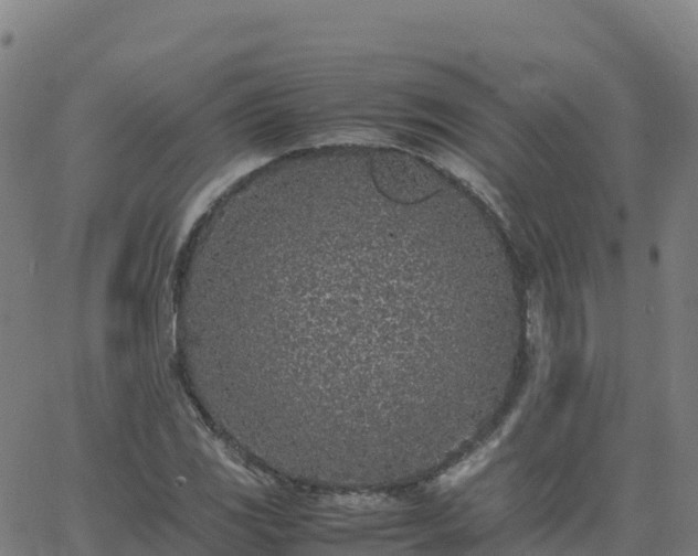 X0000062671117200512230940