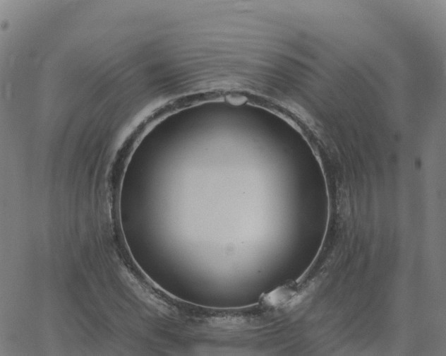 X0000062671118200512230940