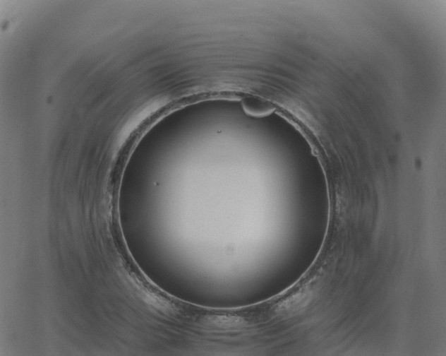 X0000062671119200512230940