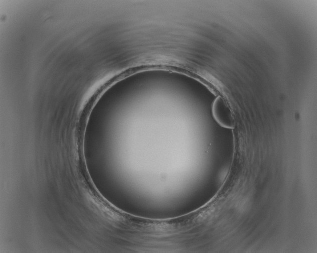 X0000062671120200512230940