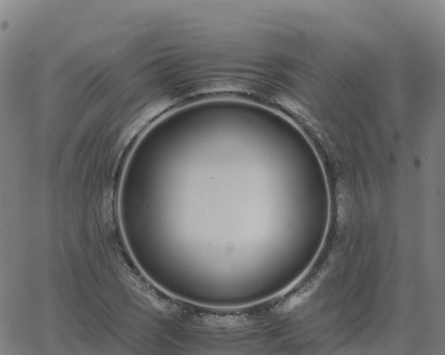 X0000062671121200512230940