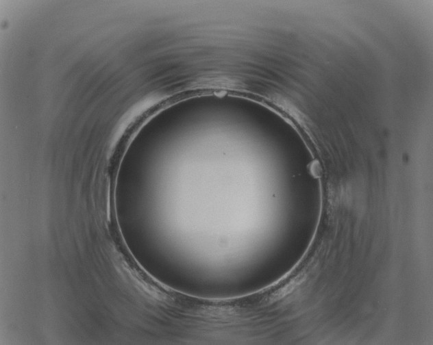 X0000062671123200512230940