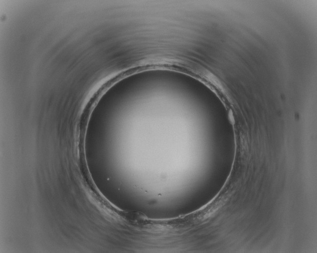 X0000062671124200512230940