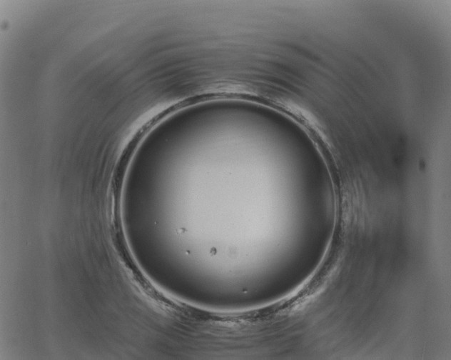 X0000062671125200512230940