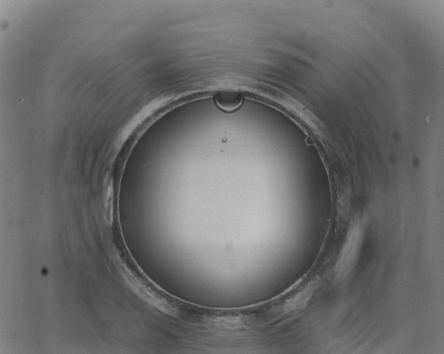 X0000062671126200512230940