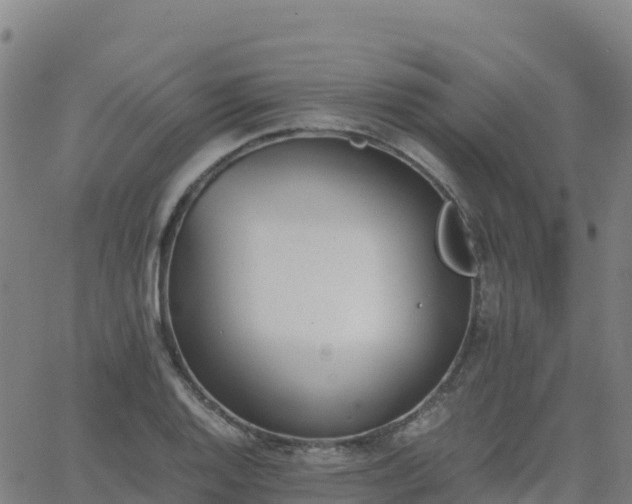 X0000062671128200512230940