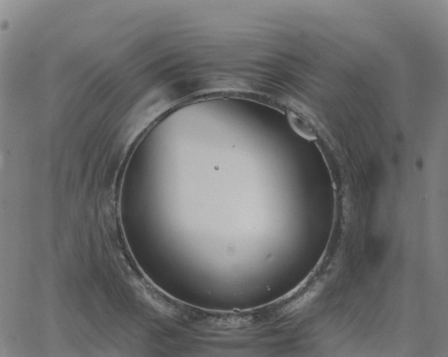 X0000062671129200512230940