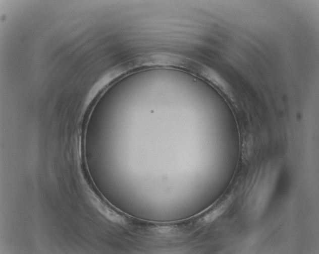 X0000062671130200512230940