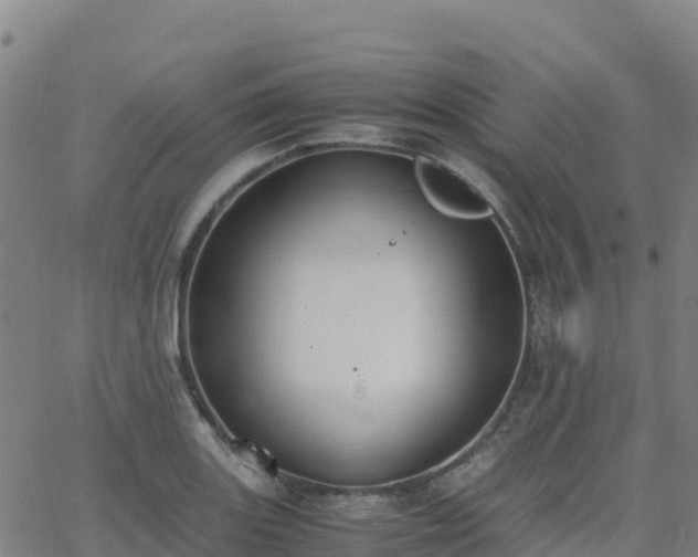 X0000062671131200512230940