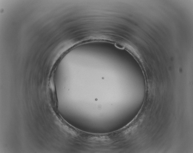 X0000062671133200512230940