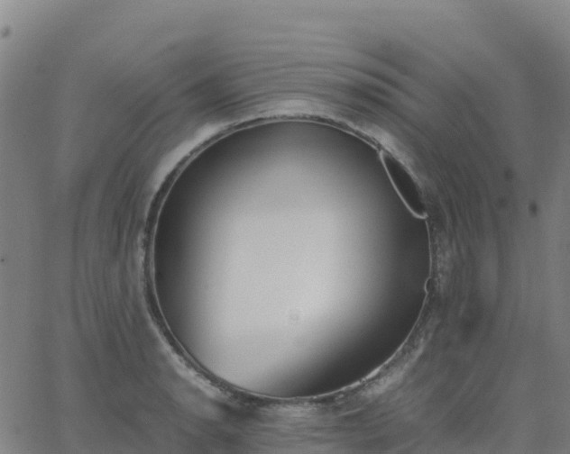 X0000062671134200512230940