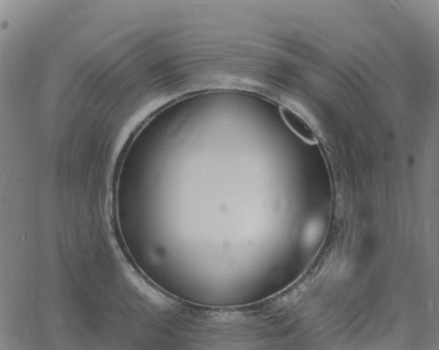 X0000062671136200512230940