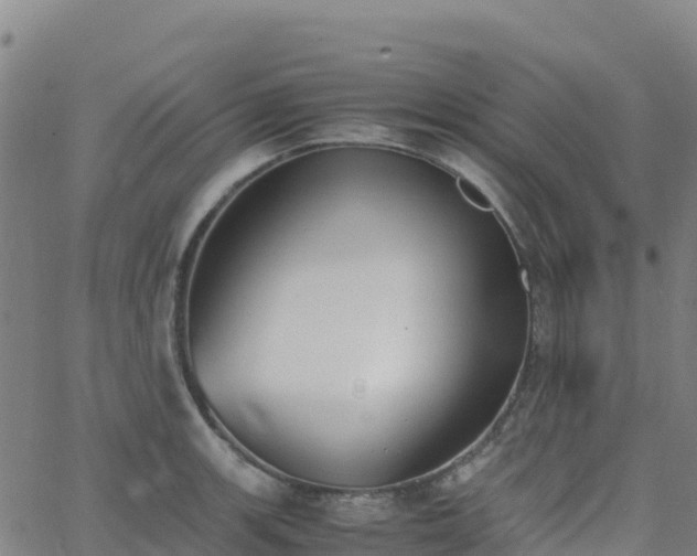 X0000062671139200512230940