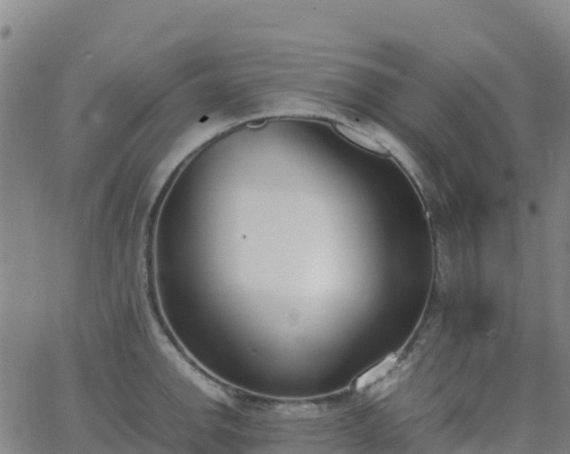 X0000062671142200512230940