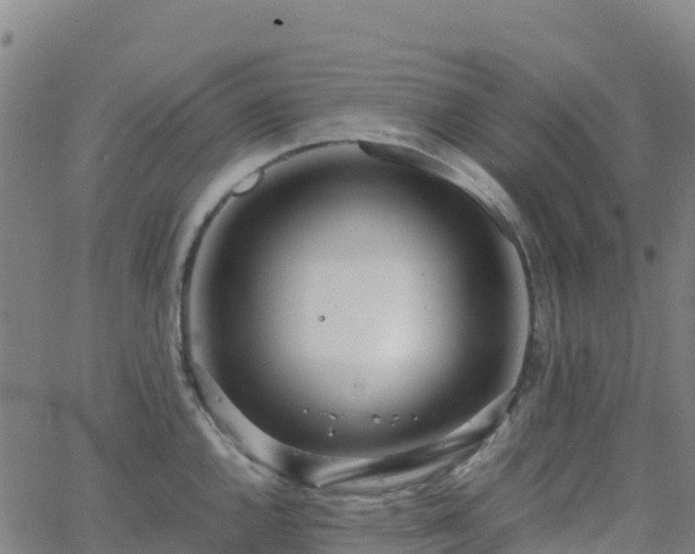 X0000062671144200512230940