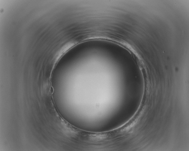 X0000062671145200512230940