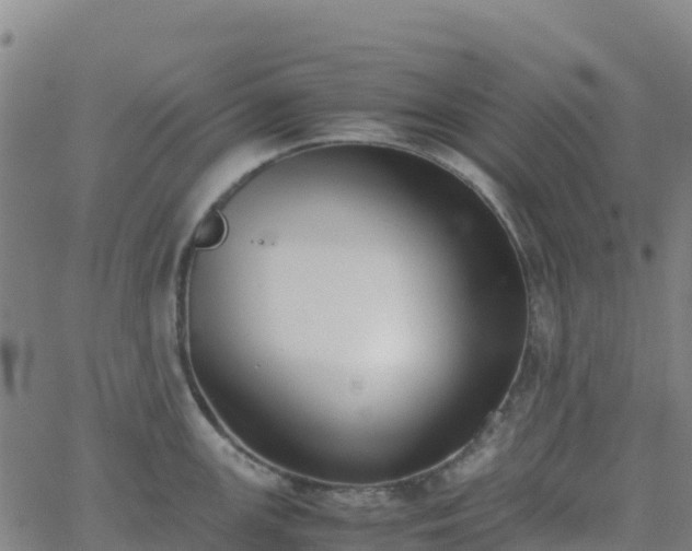 X0000062671147200512230940