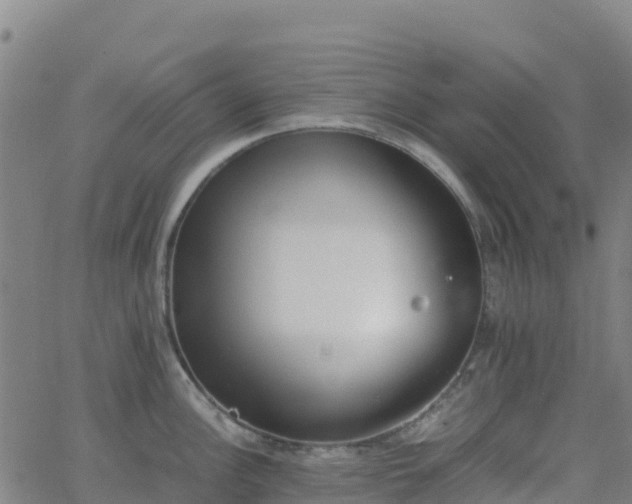 X0000062671148200512230940