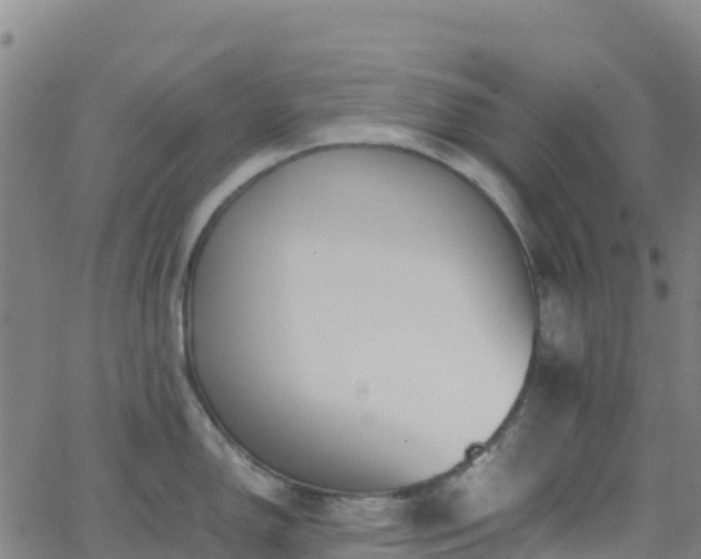 X0000062671150200512230940