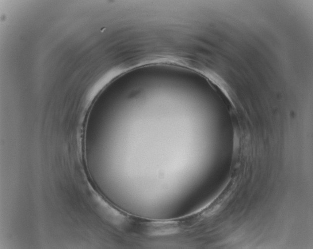 X0000062671151200512230940