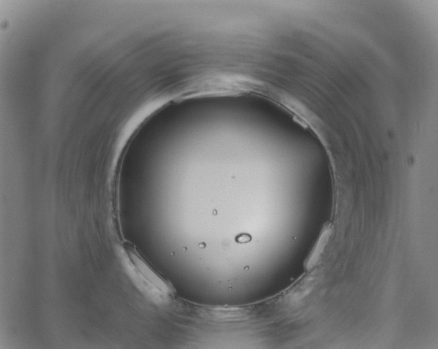 X0000062671152200512230940