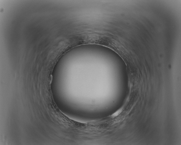 X0000062671153200512230939